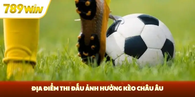 Địa điểm thi đấu ảnh hưởng kèo châu Âu Địa điểm thi đấu ảnh hưởng kèo châu Âu